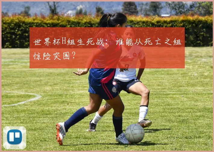世界杯H组生死战：谁能从死亡之组惊险突围？