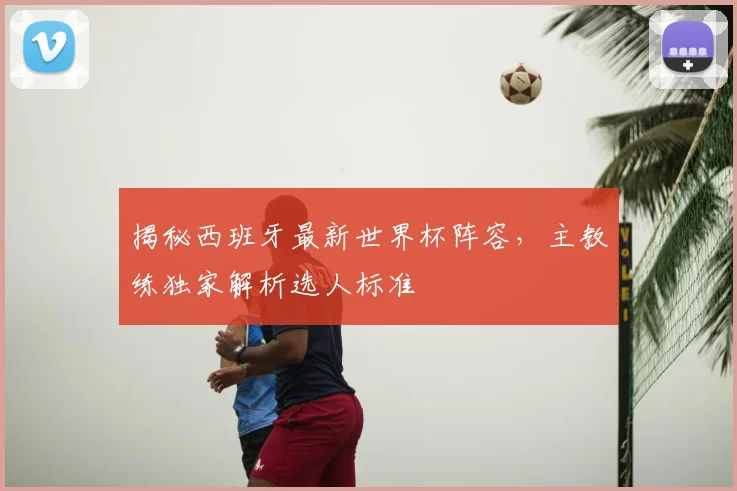 揭秘西班牙最新世界杯阵容,主教练独家解析选人标准