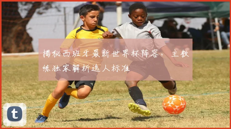 揭秘西班牙最新世界杯阵容，主教练独家解析选人标准