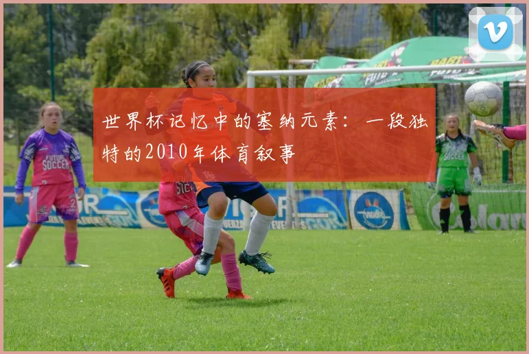 世界杯记忆中的塞纳元素:一段独特的2010年体育叙事